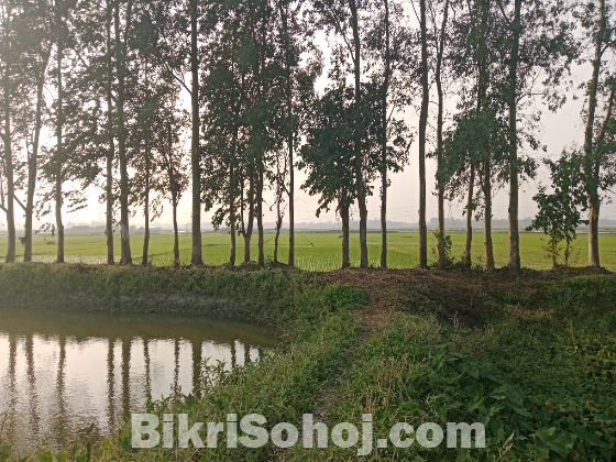 আমি কৃষি জমি বিক্রয় করতে চাই